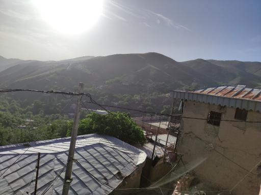 عکس کنگ