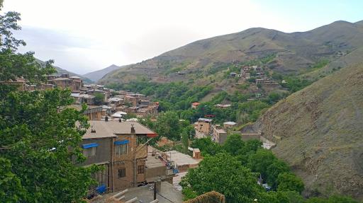 عکس کنگ