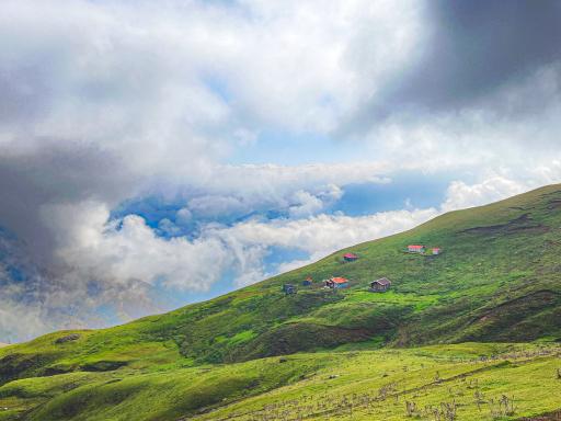 عکس ماسال