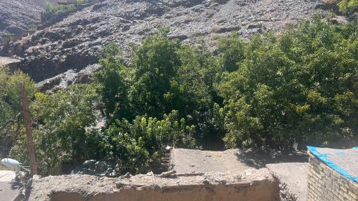 عکس کنگ