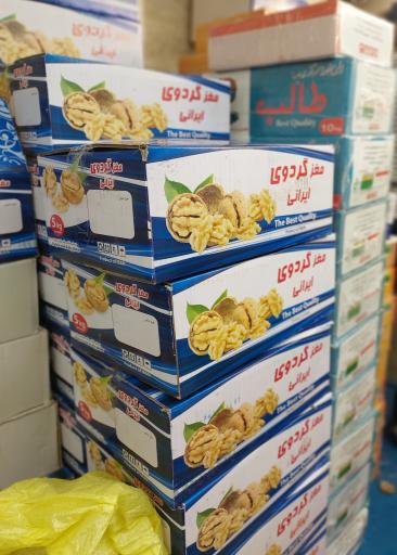 عکس خشکبار امیر