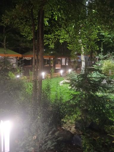 عکس رستوران باغبان