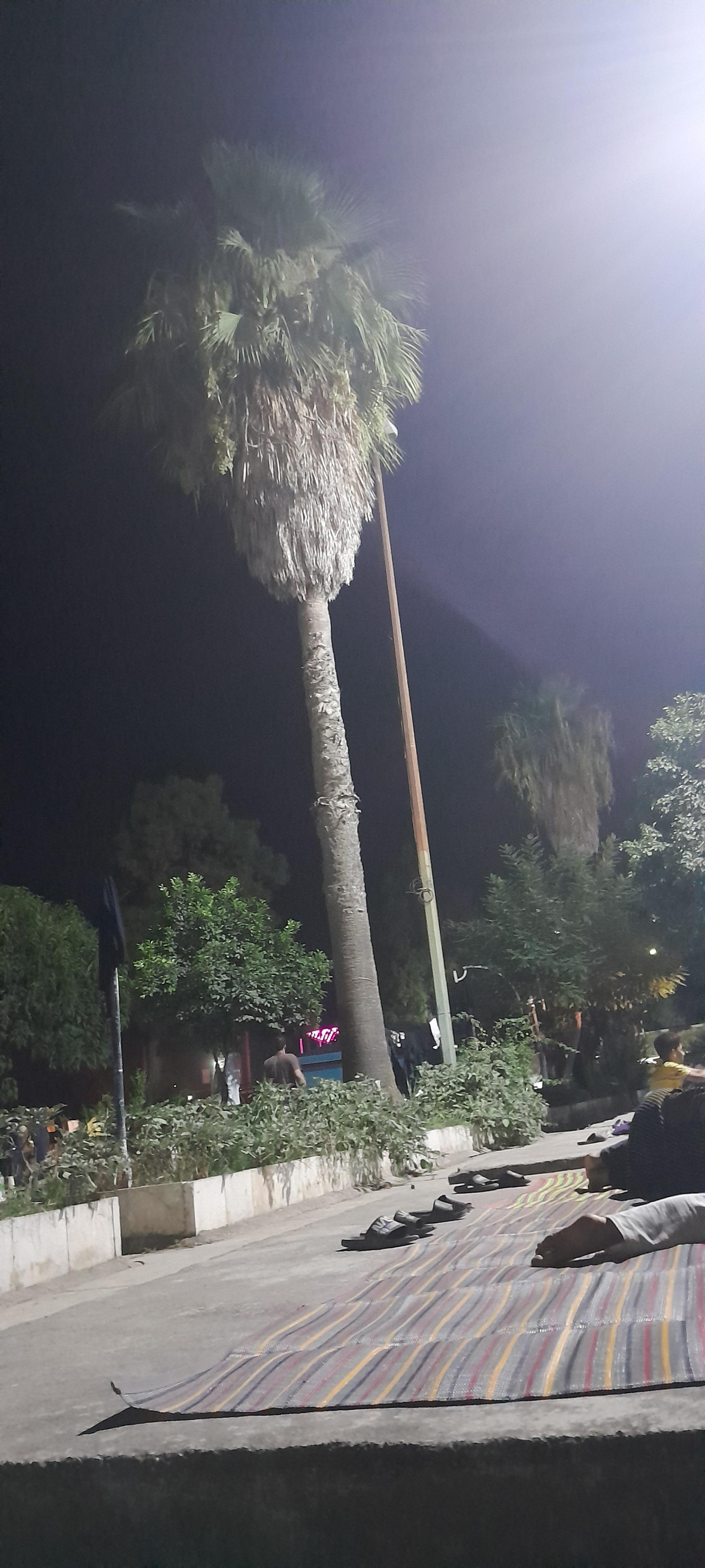 عکس پارک مینودشت