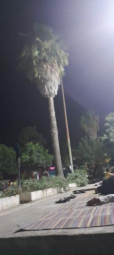 عکس پارک مینودشت