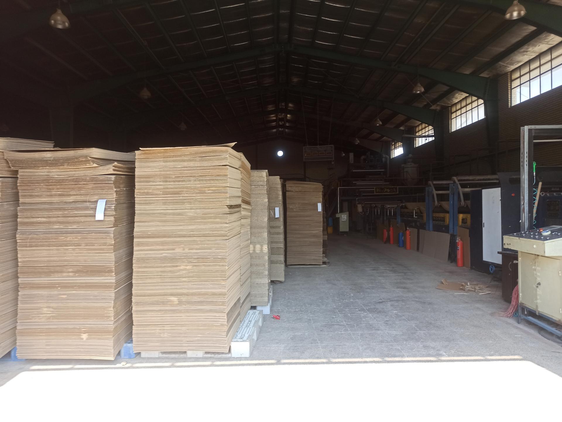 عکس کارتن سازی تک سهند 