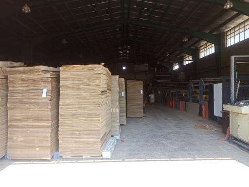 عکس کارتن سازی تک سهند 