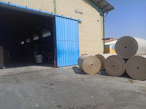 عکس کارتن سازی تک سهند 