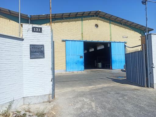 عکس کارتن سازی تک سهند 