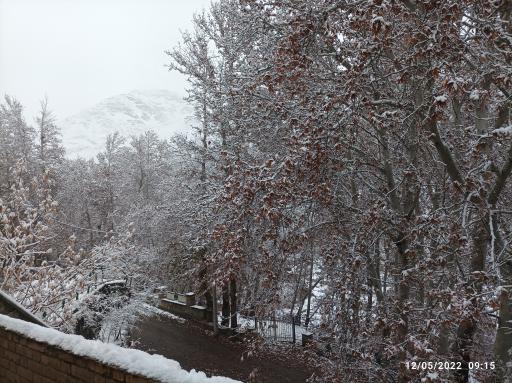 عکس مهمانسرای شهر درود