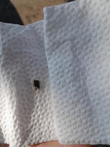 عکس ساندویچ کوچه بازار