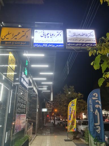دکتر رویا چوپانی