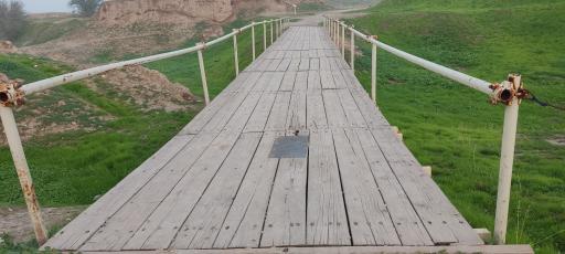 عکس کاخ آپادانای شوش