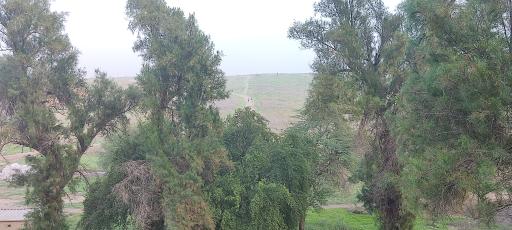 عکس کاخ آپادانای شوش