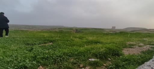 عکس کاخ آپادانای شوش