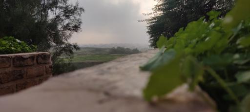 عکس کاخ آپادانای شوش