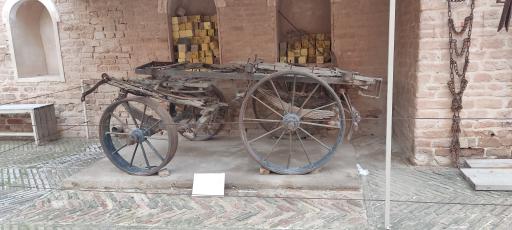 عکس کاخ آپادانای شوش