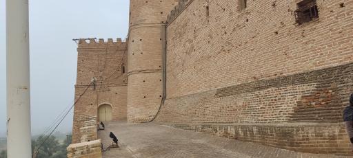 عکس کاخ آپادانای شوش