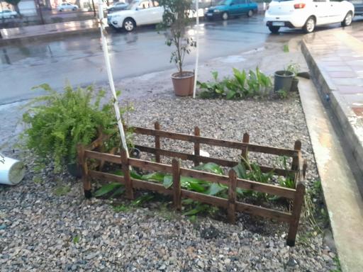 عکس گلفروشی اتاق سبز مانا