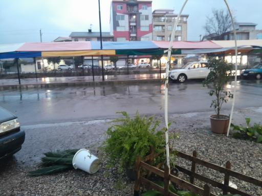 عکس گلفروشی اتاق سبز مانا