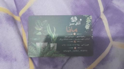 عکس گلفروشی اتاق سبز مانا