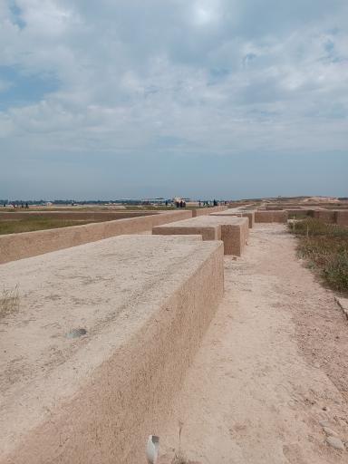 عکس کاخ آپادانای شوش