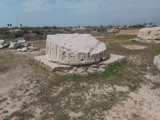 عکس کاخ آپادانای شوش