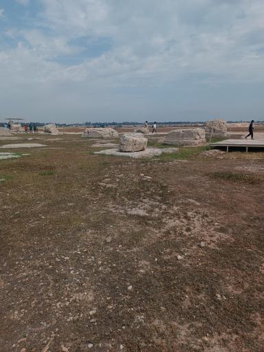 عکس کاخ آپادانای شوش