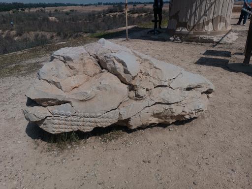 عکس کاخ آپادانای شوش