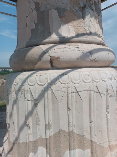 عکس کاخ آپادانای شوش