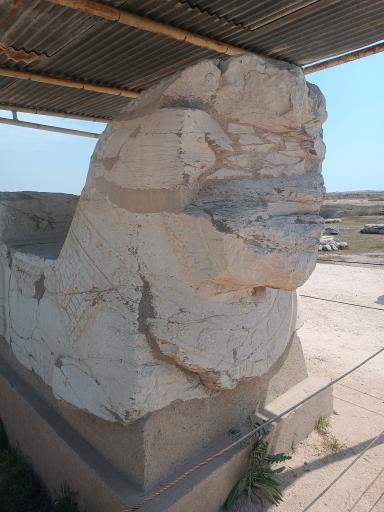 عکس کاخ آپادانای شوش