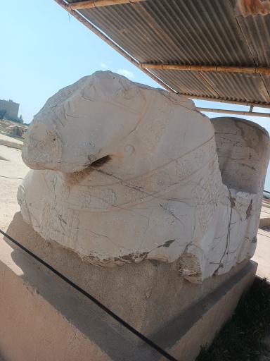 عکس کاخ آپادانای شوش