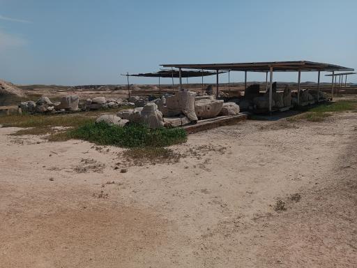 عکس کاخ آپادانای شوش