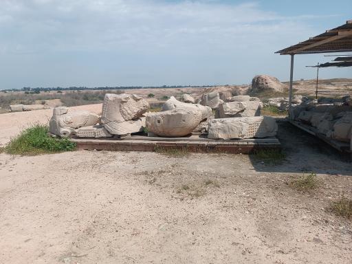 عکس کاخ آپادانای شوش