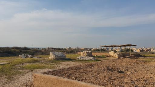 کاخ آپادانای شوش