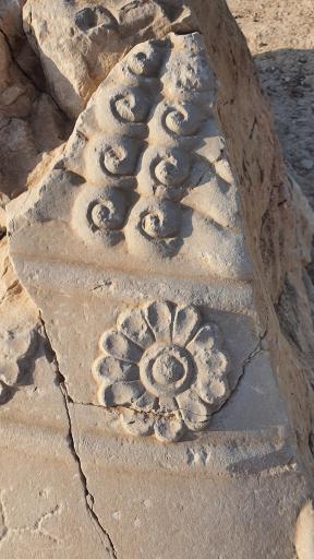 عکس کاخ آپادانای شوش