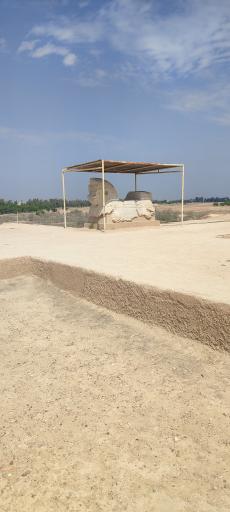 عکس کاخ آپادانای شوش