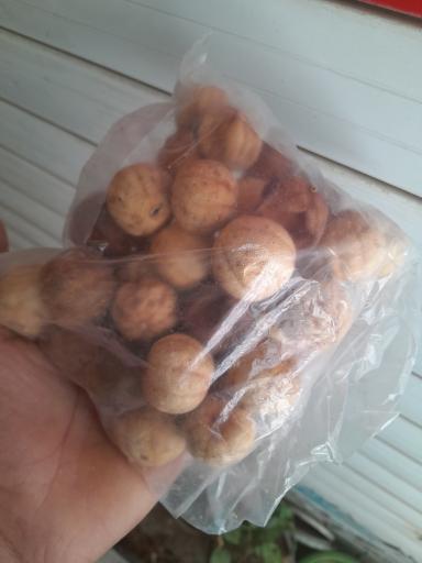 لبنیات فروتن