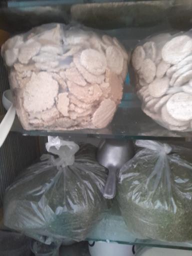 لبنیات فروتن