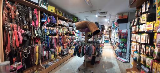 پت شاپ پلانکتون