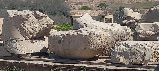 عکس کاخ آپادانای شوش