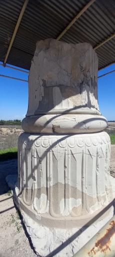 عکس کاخ آپادانای شوش