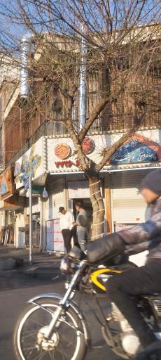 عکس ساندویچ کوچه بازار