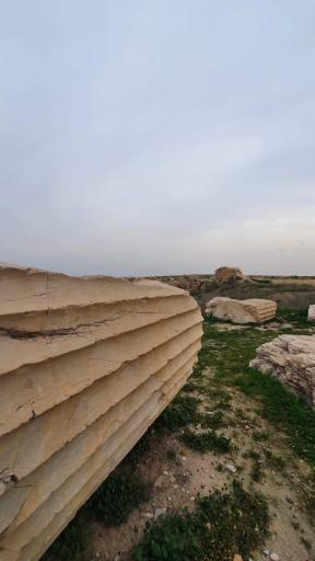 عکس کاخ آپادانای شوش