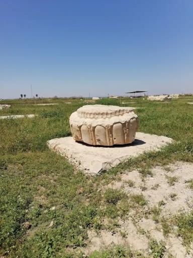 عکس کاخ آپادانای شوش