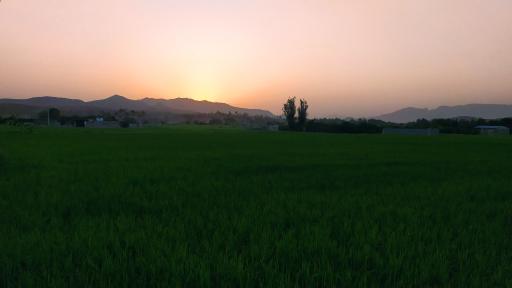 عکس پل دیدنی بداغ آباد (زاینده رود)