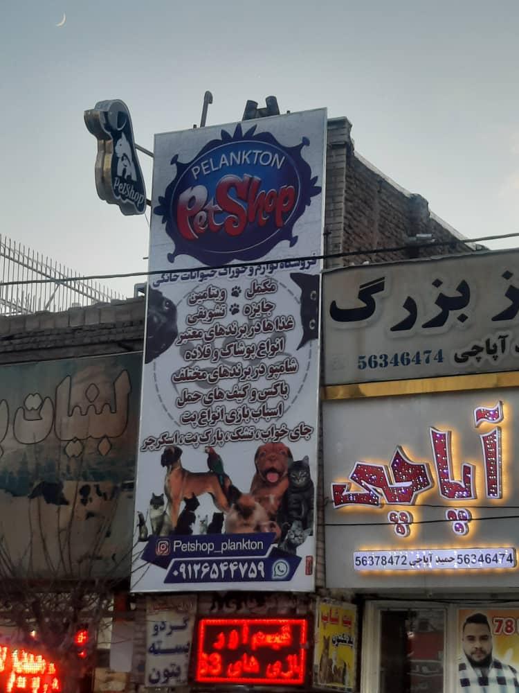 عکس پت شاپ پلانکتون