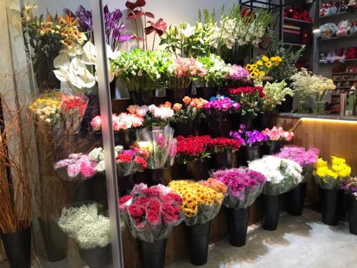 عکس گل ارکیده