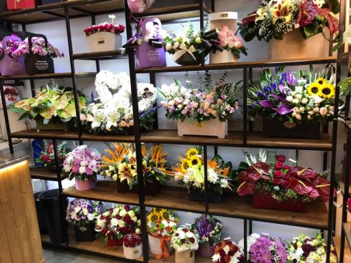 عکس گل ارکیده