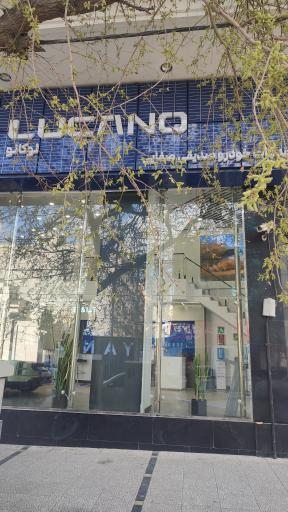 عکس نمایندگی لوکانو اکودا کد 718