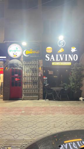 عکس سالوینو